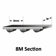 8M Section