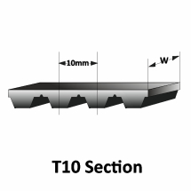 T10 Section