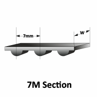7M Section